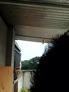 luchoarr online show from 12/21/25, 01:07