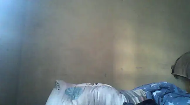 Snapshot of Horny-slut_ chatting on 01/31/25, 03:22 Horny-slut online show from 01/31/25, 03:22