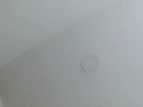 milfevha online show from 02/26/26, 02:38