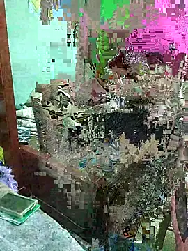 ShelfyOfferer online show from 05/29/26, 01:36