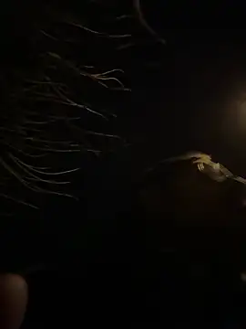 tipico0799 online show from 03/01/25, 01:43