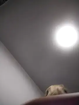 AudreySosa online show from 03/13/25, 08:04