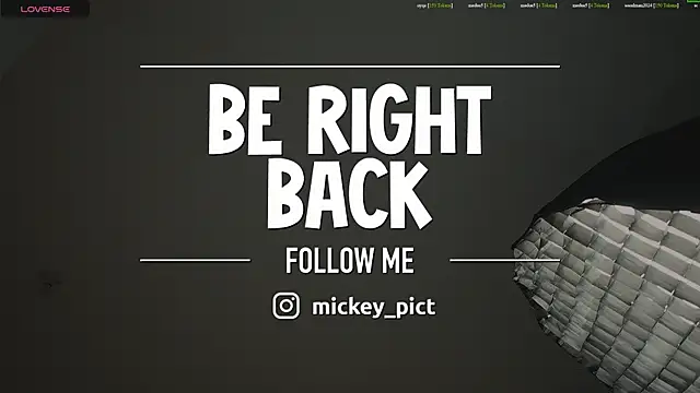Snapshot of mickeypict chatting on 07/05/26, 04:19 mickeypict online show from 07/05/26, 04:19