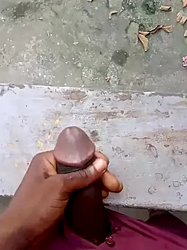 harddick70014 online show from 12/17/24, 07:18