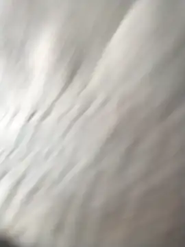 jellydicks online show from 03/23/26, 08:18