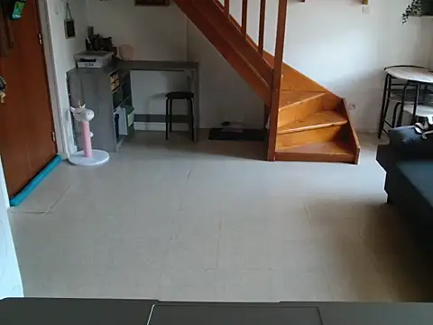 Lauzo21 online show from 04/29/26, 05:33