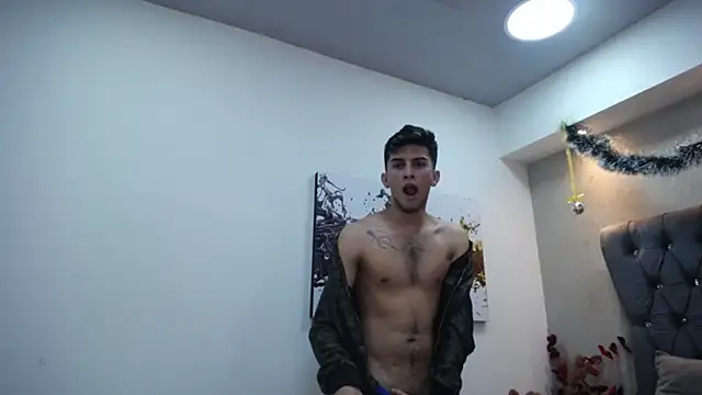 Snapshot of MrWilliseo chatting on 12/29/24, 11:29 MrWilliseo online show from 12/29/24, 11:29