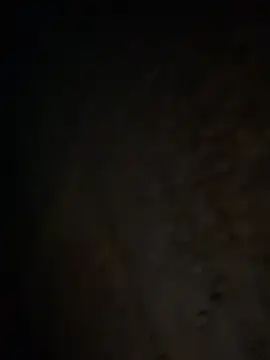 tripexnte online show from 02/20/25, 06:39