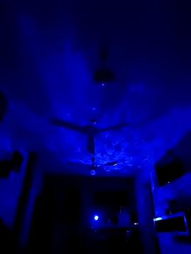tripexnte online show from 06/21/26, 06:49
