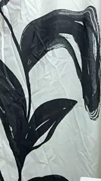 B and K online show from 12/29/24, 04:38