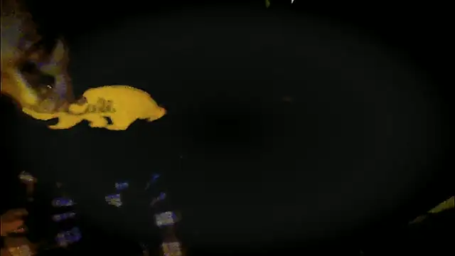 Snapshot of Pressure69mee chatting on 03/12/25, 09:24 Pressure69mee online show from 03/12/25, 09:24