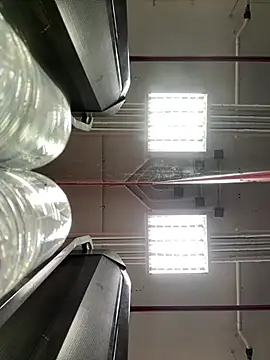 Snapshot of luv2masterb8247 chatting on 03/21/25, 02:07 luv2masterb8247 online show from 03/21/25, 02:07