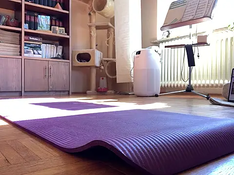 Bula94193 online show from 03/17/25, 10:17