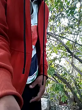 Snapshot of Piyush_2024 chatting on 01/25/25, 01:54 Piyush 2024 online show from 01/25/25, 01:54