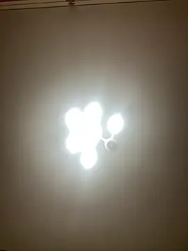 Janet Welder online show from 12/02/24, 06:09