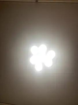 Janet Welder online show from 12/10/24, 02:16