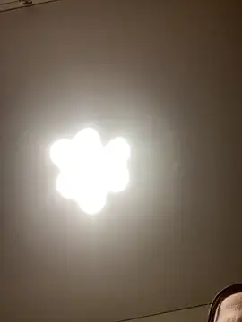 Janet Welder online show from 11/27/25, 12:24