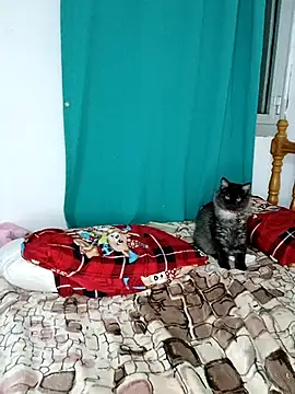 Snapshot of sama0012 chatting on 02/19/25, 11:14 sama0012 online show from 02/19/25, 11:14