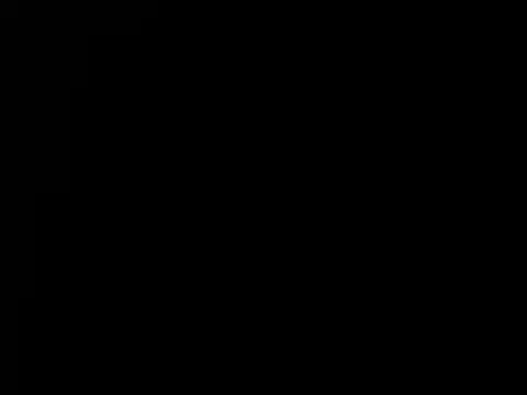 torilux online show from 12/18/24, 05:59