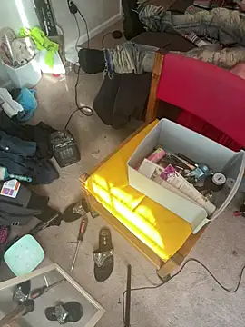 torilux online show from 01/23/25, 01:56