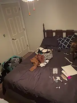 torilux online show from 02/08/25, 11:34