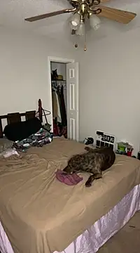 torilux online show from 02/25/25, 08:14