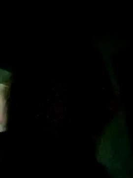 Bellatriz-horse online show from 12/20/25, 03:46