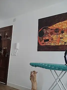 Satiro Sevilla online show from 11/12/25, 09:32