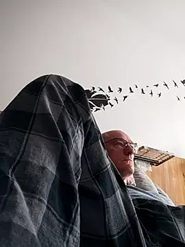 bogland33 online show from 10/04/25, 12:14