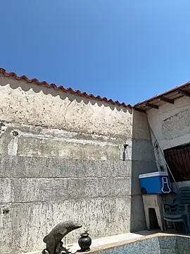 Leo bunny hot online show from 09/27/25, 05:29