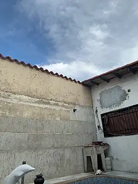 Leo bunny hot online show from 10/13/25, 08:42