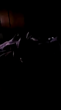 Snapshot of Imthegoattt chatting on 12/12/24, 11:47 Imthegoattt online show from 12/12/24, 11:47