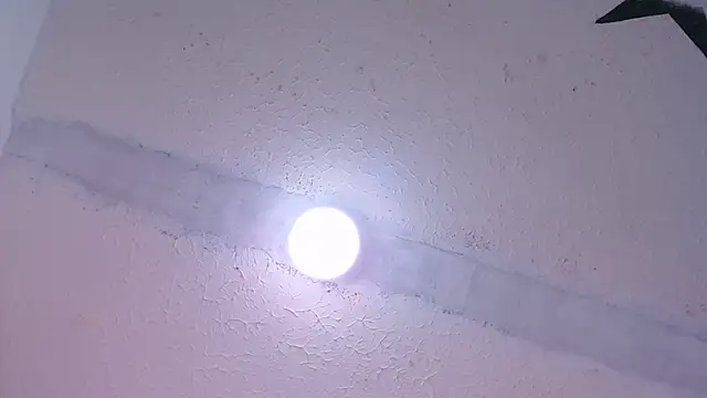 anto love  online show from 01/19/25, 12:49