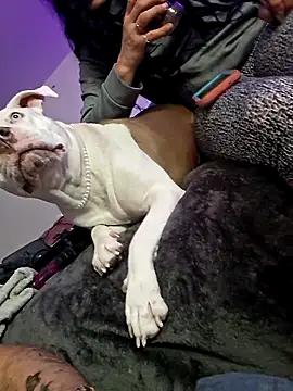 Snapshot of Jokergotherwett chatting on 03/03/26, 08:09 Jokergotherwett online show from 03/03/26, 08:09