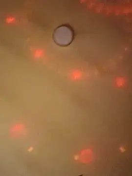 Ely Elenita online show from 03/07/25, 09:27