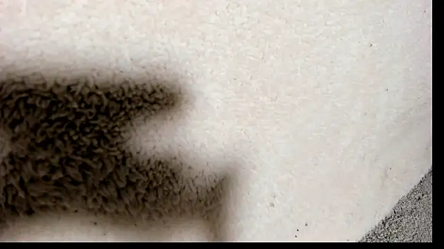 Brock hurn1 online show from 09/15/25, 02:00