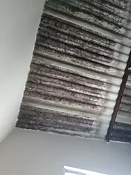 Snapshot of putoso031 chatting on 02/23/25, 06:23 putoso031 online show from 02/23/25, 06:23