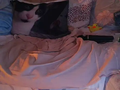 VeneRed online show from 11/30/25, 07:51