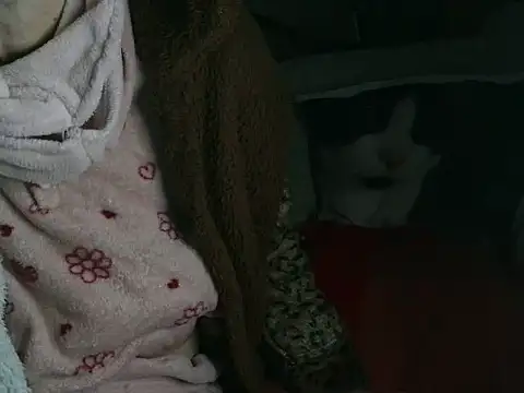 VeneRed online show from 03/16/26, 09:19