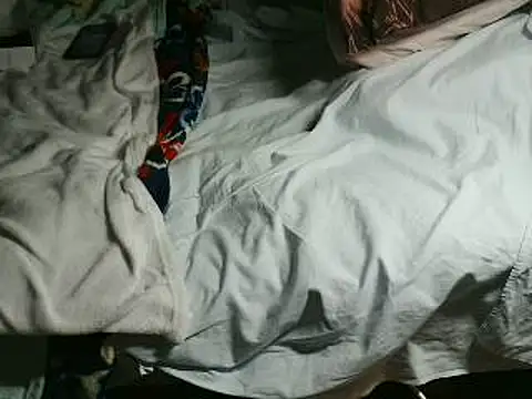 VeneRed online show from 04/15/26, 06:26