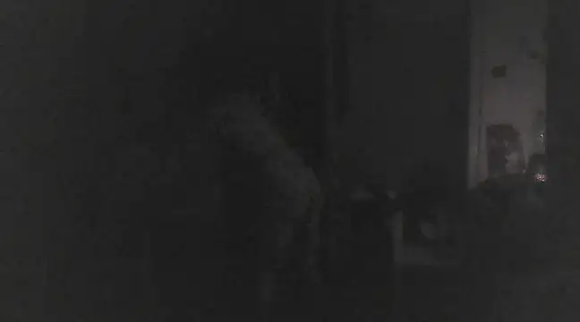 Just Gabriella online show from 03/17/25, 01:18