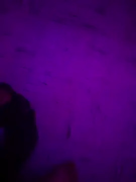 Argento14 online show from 11/03/25, 05:31