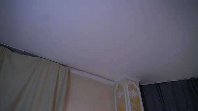 EdlinAlliston online show from 02/02/26, 04:27