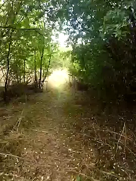 nataliecdlive online show from 09/13/25, 01:33