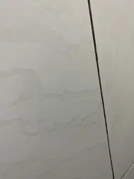 picatorta19 online show from 12/17/25, 06:25