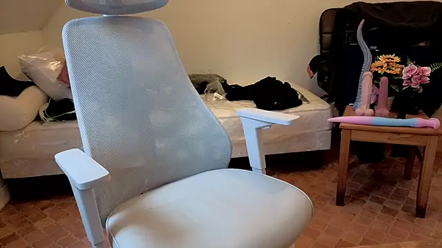 SteveStiffbone online show from 02/01/26, 01:31