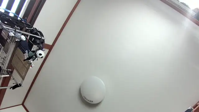 Snapshot of tuki_fu chatting on 12/08/24, 03:10 tuki fu online show from 12/08/24, 03:10