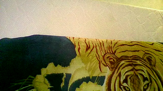 maritanna online show from 12/29/24, 05:10