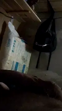 Snapshot of cockringkelley97 chatting on 12/01/24, 04:29 cockringkelley97 online show from 12/01/24, 04:29