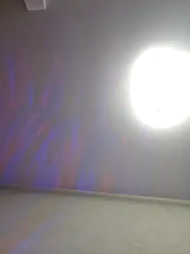 lapa525 online show from 12/16/24, 06:49